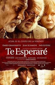 Te esperaré - лучший фильм в фильмографии Луйсина Куарели