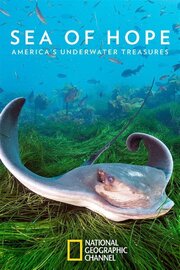 Sea of Hope: America's Underwater Treasures - лучший фильм в фильмографии Роберт Никсон