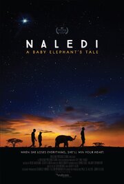 Naledi: A Baby Elephant's Tale - лучший фильм в фильмографии Lee Jackson