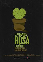 Primavera Rosa en México - лучший фильм в фильмографии Марио Де Ла Торре Эспиноза