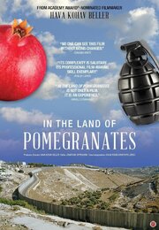 In the Land of Pomegranates из фильмографии Джонатан Оппенхайм в главной роли.