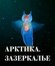 Арктика. Зазеркалье - лучший фильм в фильмографии Антон Соболевский