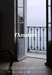 L'amatore - лучший фильм в фильмографии Валентина Андреоли