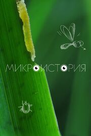 Микроистория - лучший фильм в фильмографии Юлия Королёва