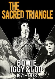 Bowie, Iggy & Lou 1971-1973: The Sacred Triangle - лучший фильм в фильмографии Виктор Бокрис