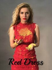 Red Dress Film - лучший фильм в фильмографии Alina Slovachevska