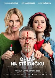 Chlap na strídacku - лучший фильм в фильмографии Александра Леклер