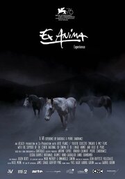 Ex Anima Experience из фильмографии Генри Карбальидо в главной роли.