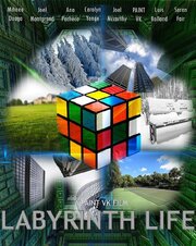 Labyrinth Life из фильмографии Джоэль Монгран в главной роли.