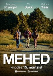 Mehed - лучший фильм в фильмографии Priit Pedajas