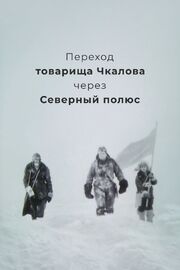 Переход товарища Чкалова через Северный полюс из фильмографии Максим Пежемский в главной роли.