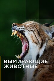 Вымирающие животные - лучший фильм в фильмографии Майкл Парфит