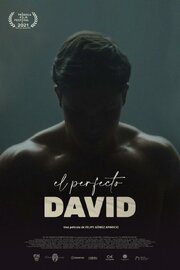 El perfecto David - лучший фильм в фильмографии Antonella Ferrari