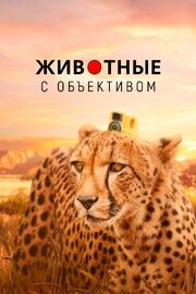 Животные с объективом - лучший фильм в фильмографии Даг Хоуп