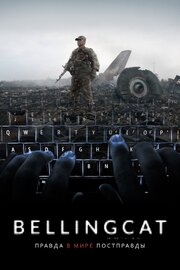 Bellingcat: Правда в мире постправды - лучший фильм в фильмографии Ганс Пул