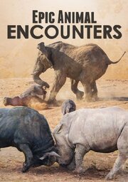 Epic Animal Encounters - лучший фильм в фильмографии Бриджитт Фэйхи-Голдсмит