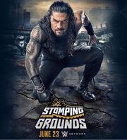 WWE Stomping Grounds из фильмографии Леа Ван Дейл в главной роли.