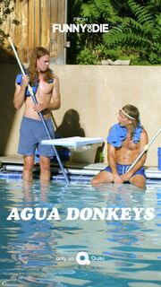 Agua Donkeys из фильмографии Лиз Уитэйкер в главной роли.