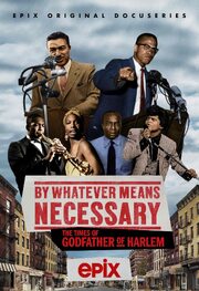 By Whatever Means Necessary: The Times of Godfather of Harlem - лучший фильм в фильмографии Марта Ривз