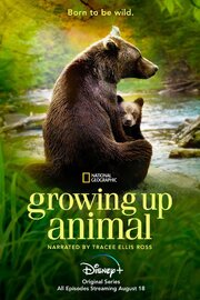 Growing Up Animal - лучший фильм в фильмографии Laurentia Editha