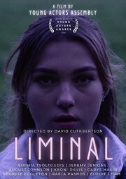 Liminal - лучший фильм в фильмографии Mitchell Ford