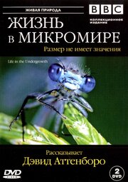 BBC: Жизнь в микромире - лучший фильм в фильмографии Майк Салисбери