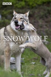 The Snow Wolf: A Winter's Tale - лучший фильм в фильмографии Бартелеми Фюжа