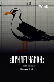 Прилёт чайки - лучший фильм в фильмографии Филипп Ларс