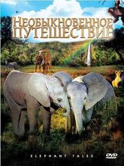 Необыкновенное путешествие: История про двух слонят из фильмографии Ришар Боринже в главной роли.