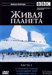 BBC: Живая планета - лучший фильм в фильмографии Мартин Саундерс