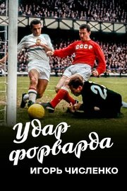 Игорь Численко. Удар форварда из фильмографии Владимир Голиков в главной роли.