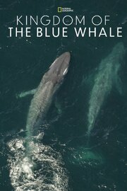 Kingdom of the Blue Whale - лучший фильм в фильмографии Джон Каламбокидис