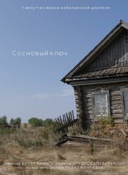 Сосновый ключ - лучший фильм в фильмографии Булат Минкин