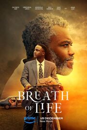 Breath of Life из фильмографии Bodunrin Sasore в главной роли.