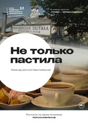 Не только пастила из фильмографии Дмитрий Завильгельский в главной роли.