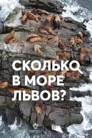 Сколько в море львов? - лучший фильм в фильмографии Светлана Артемьева