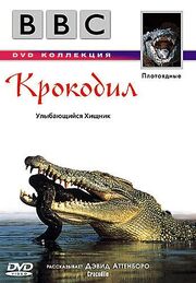 BBC: Крокодил из фильмографии Кит Шолей в главной роли.