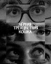 Чёрная трёхцветная кошка - лучший фильм в фильмографии Женя Третьяков