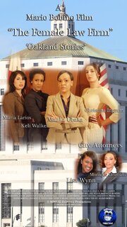 The Female Law Firm - лучший фильм в фильмографии David Anthony Lewis