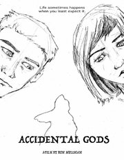 Accidental Gods - лучший фильм в фильмографии Винсент Болджер