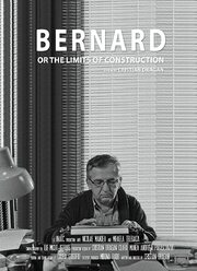 Bernard or the Limits of Construction - лучший фильм в фильмографии Mihaela Teleoaca