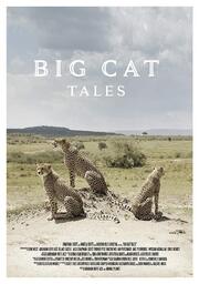 Big Cat Tales - лучший фильм в фильмографии Jonathan Scott