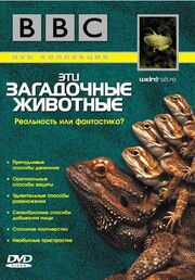 BBC: Эти загадочные животные из фильмографии Киаран МакМенамин в главной роли.