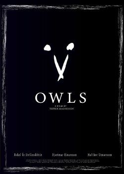 Owls