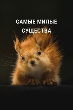 Самые милые существа