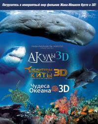 Фото Акулы 3D