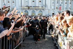 Фото Batkid Begins