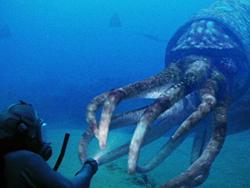 Фото BBC: Прогулки с морскими чудовищами