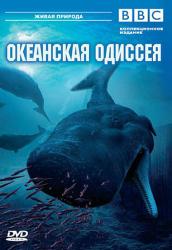 Фото BBC: Океанская одиссея