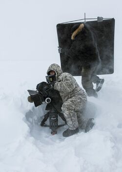 Фото Черный снег